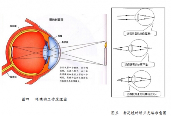 美麗島眼鏡：老花鏡不可隨意亂帶，需要在專業(yè)驗光后科學配制